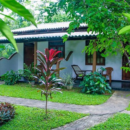 Nimsara Lodge Сигирия Екстериор снимка