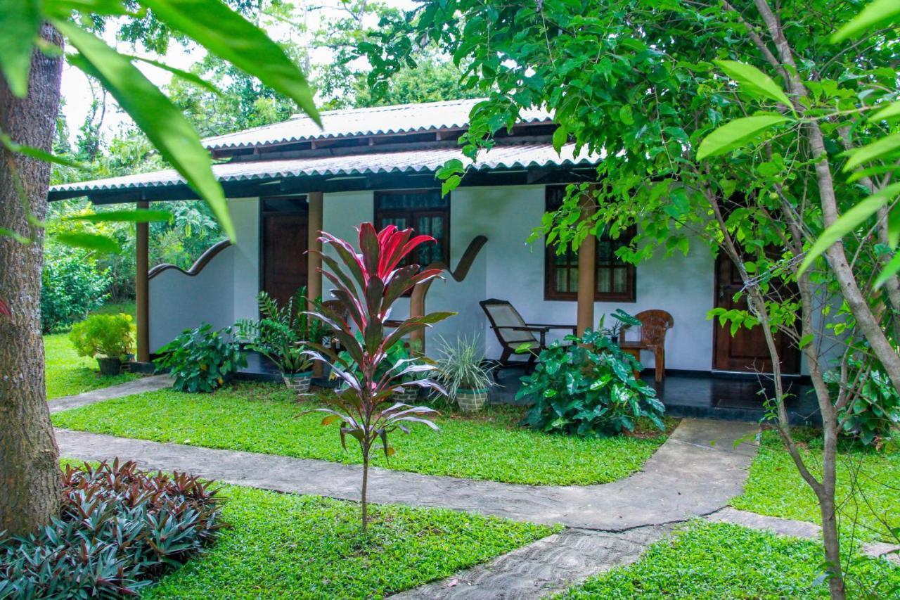 Nimsara Lodge Сигирия Екстериор снимка