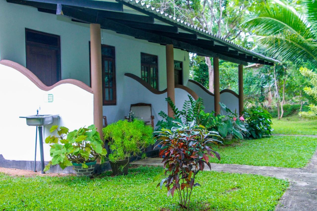 Nimsara Lodge Сигирия Екстериор снимка