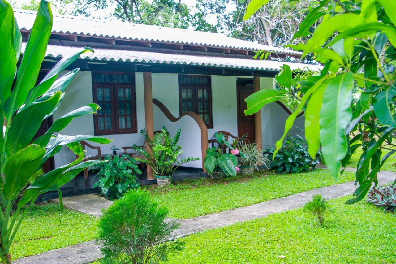 Nimsara Lodge Сигирия Екстериор снимка