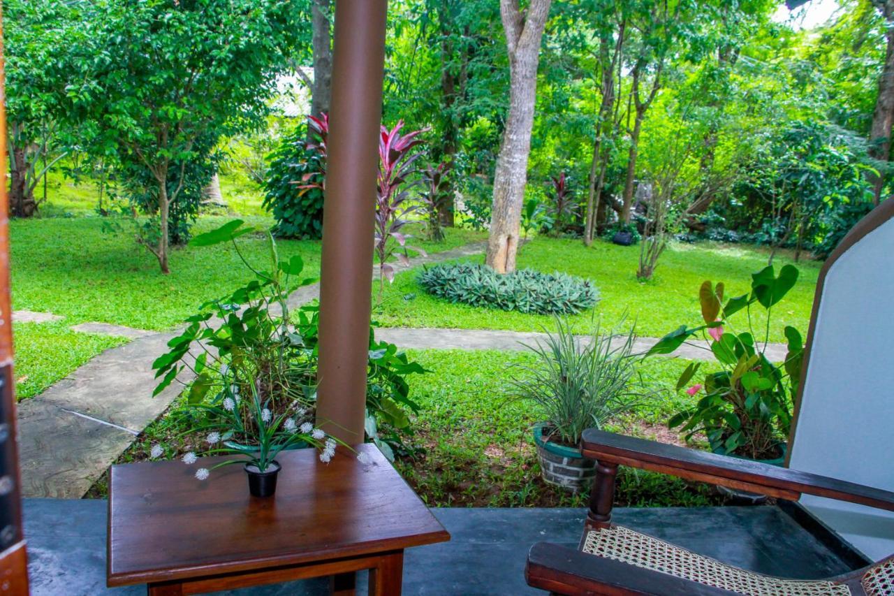 Nimsara Lodge Сигирия Екстериор снимка