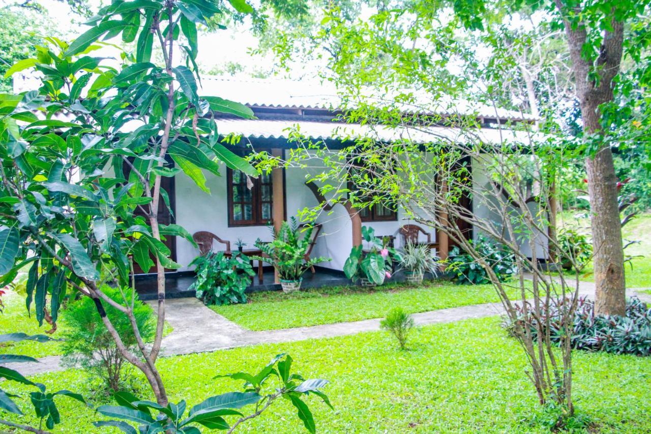 Nimsara Lodge Сигирия Екстериор снимка