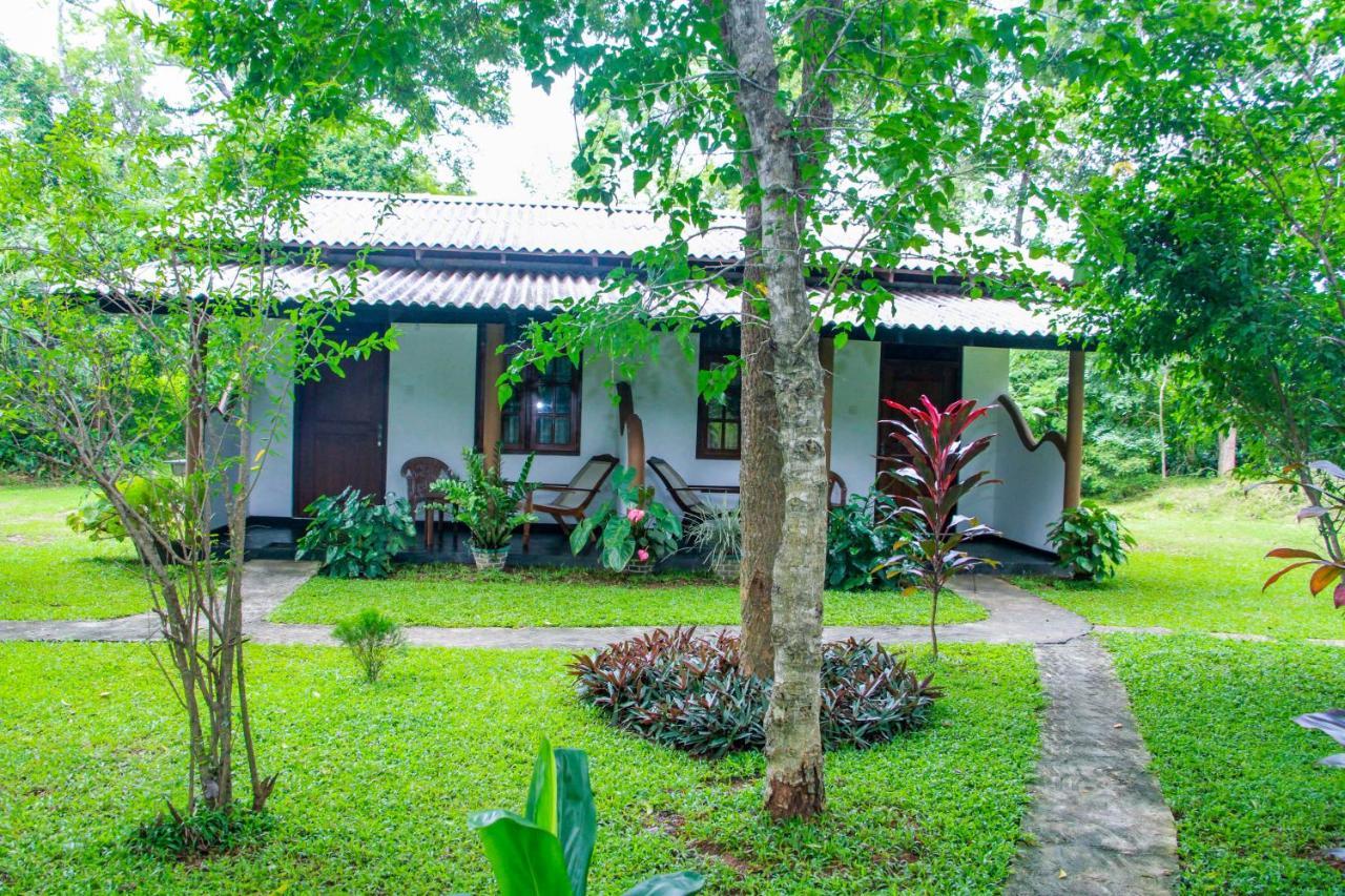 Nimsara Lodge Сигирия Екстериор снимка