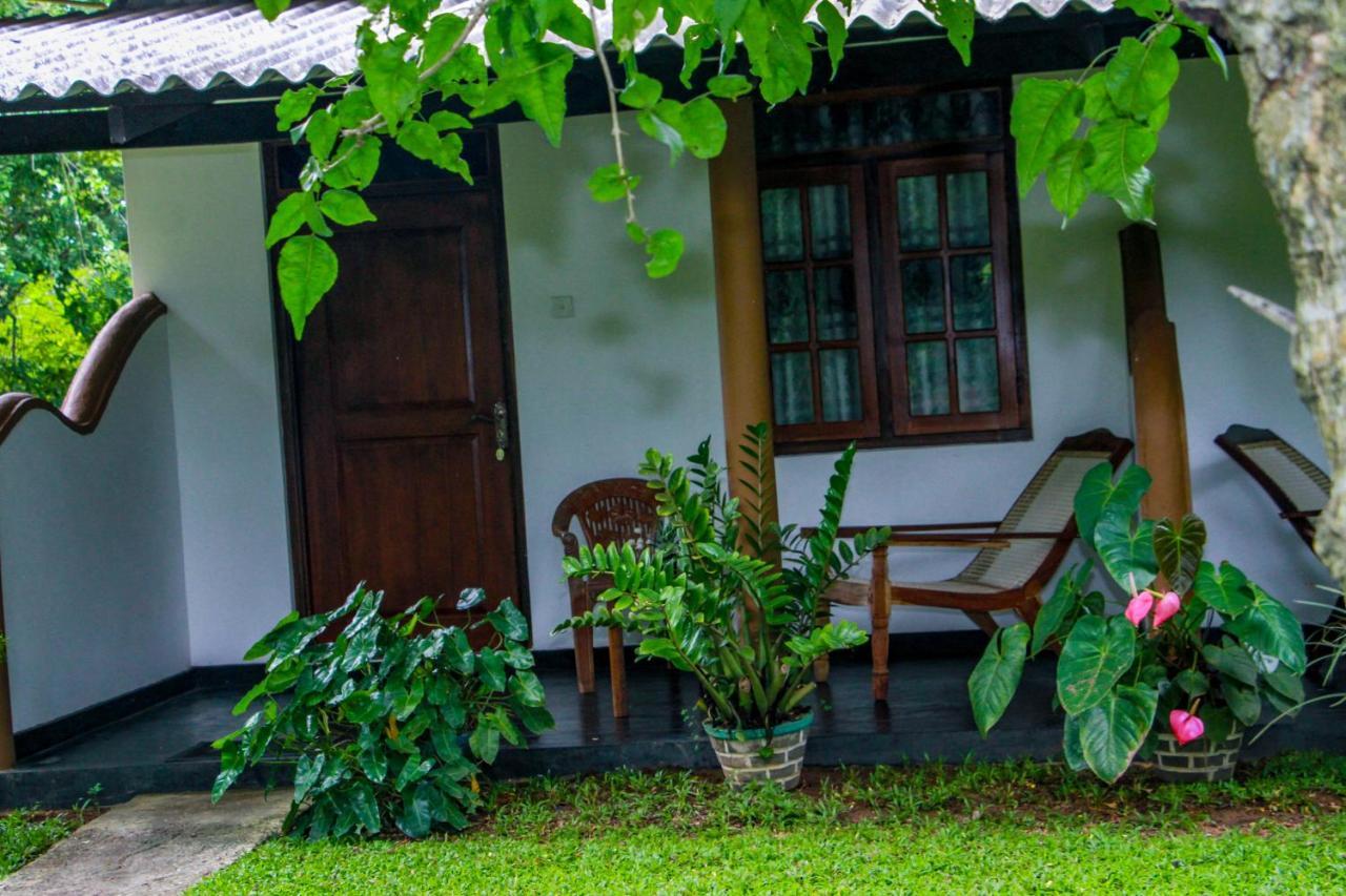 Nimsara Lodge Сигирия Екстериор снимка